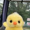 clooud_breead