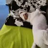 mathias.zitta