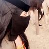اريام اليامي