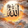 user319357240