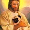 puglover.1999