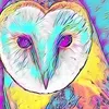 user2617127610774