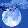 user28060925050702