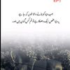 shabir.hussein97