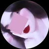 01_am2