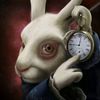 rubiislocket