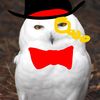 mr.snowyowl