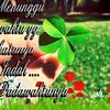 phngthnhlong836