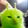 userr_zoraa