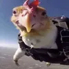 funky_fella76