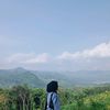 novii_316