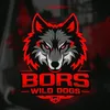 BORS