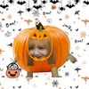 lisa_28351