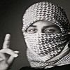 naseerdagf777