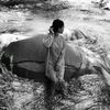 jihandarise11111