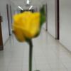 riya.islam5126