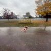 littlemissquinn11