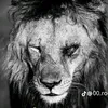 user846061104980