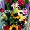 lthisan622