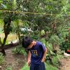 ini Gipaaagippart2