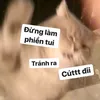 tien00009