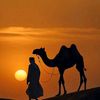 sajid.ali51573