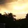 nhi.1.tui