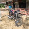 king135cc55