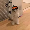 samira.kurmanavic7
