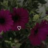 user267065302220