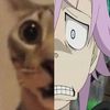 imliterally.crona