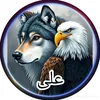 user57072469571851