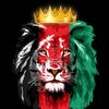 king.afg804