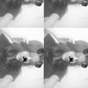 tyastore_