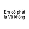 trongdinhh_