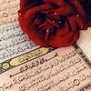 user2240742206245