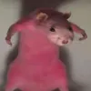 .w832