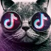 user91524306171274