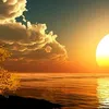 osama.ahmed2371