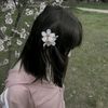 cherries3_