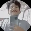 .31331079