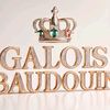 usergalois