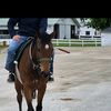 joey044602