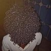 sadiiq.yare625