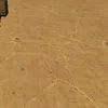 adngqj