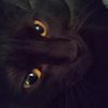 username235789107