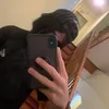 pshsyzpnu81