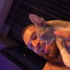тгк: papaflexxx
