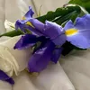 shukri.mohammad3