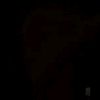 vqleryeex_0